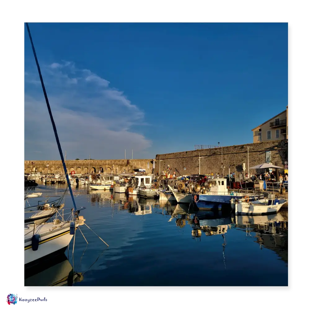 Antibes Harbor Poster 8x8 - white