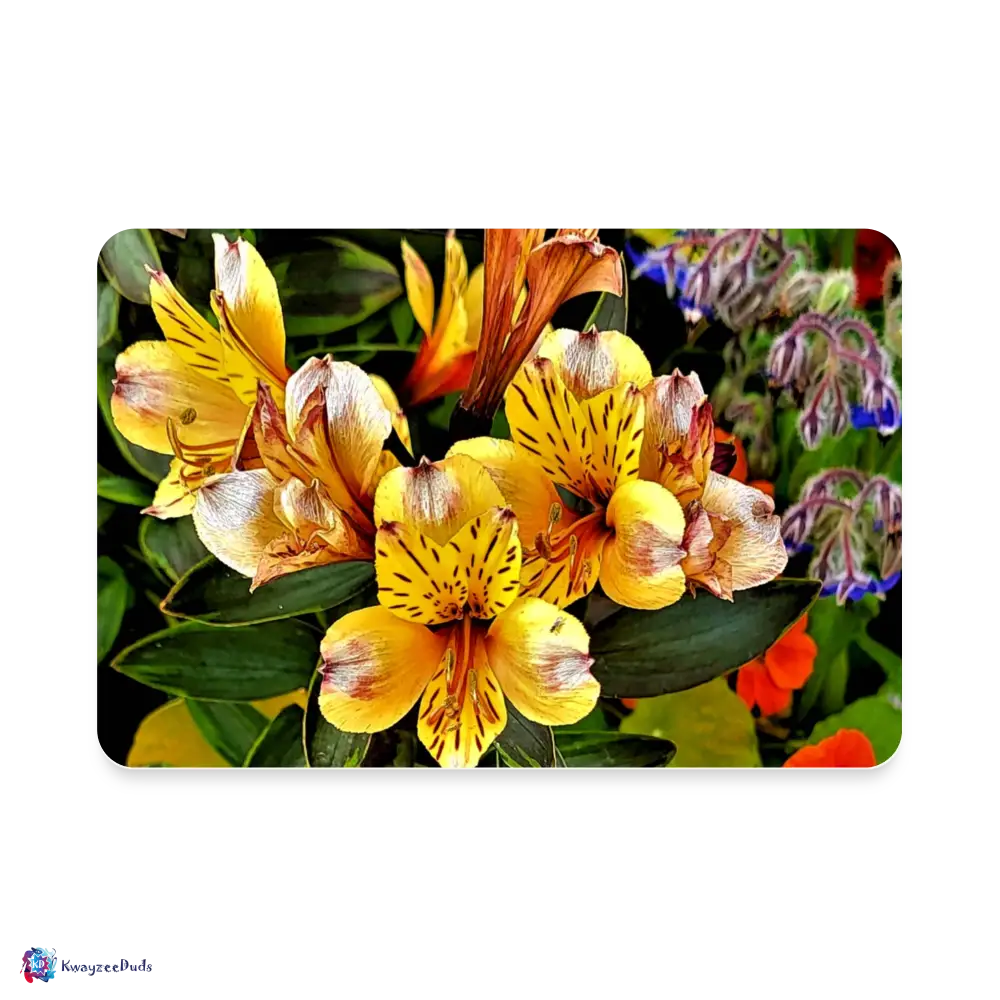 Aptos Golden Alstroemeria Rectangle Magnet - white