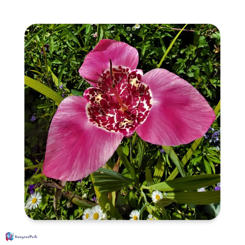 Giverny Tigridia Square Magnet - white