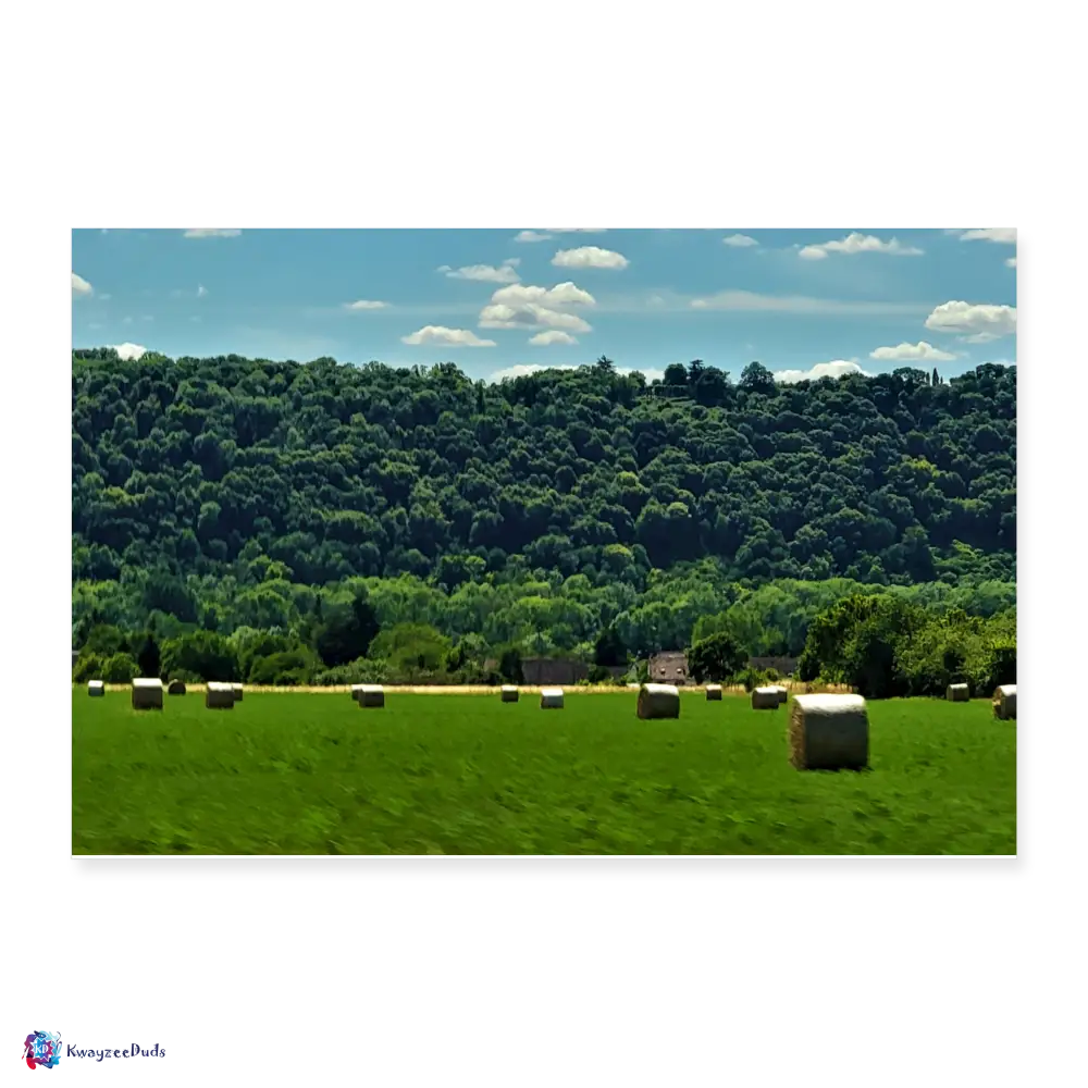 Out Of Giverny Poster 12*8 - white