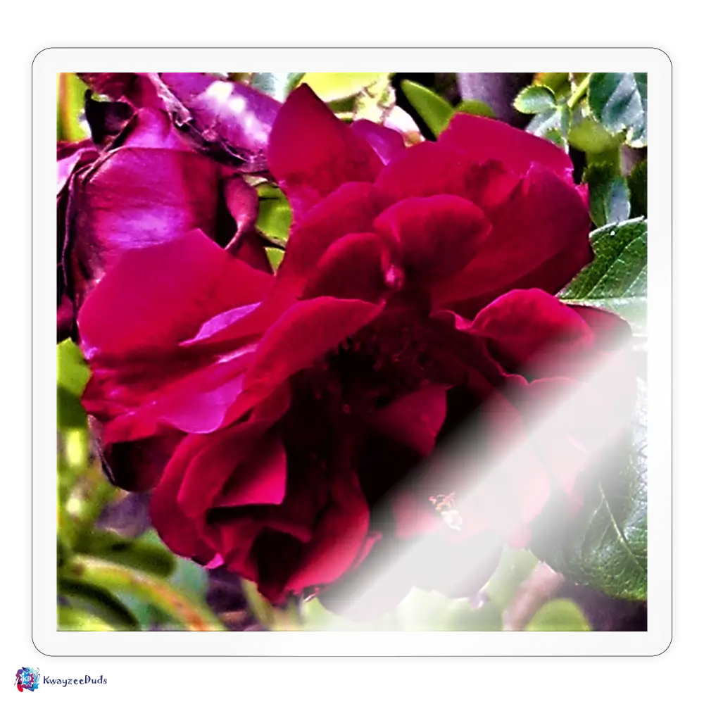 Rose Pollen Sticker - transparent glossy