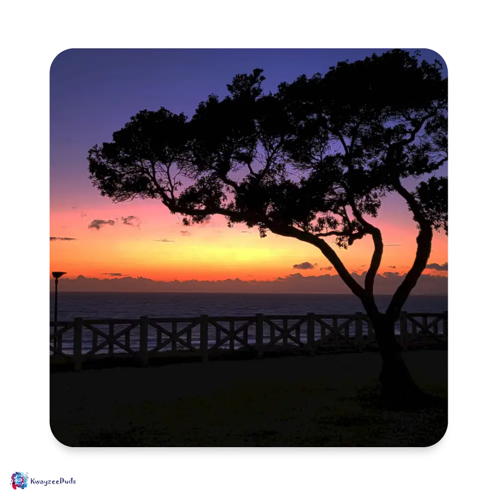 Santa Monica Tree Square Magnet - white