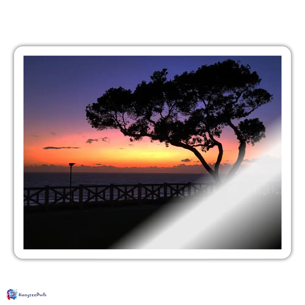 Santa Monica Tree Sticker - white glossy