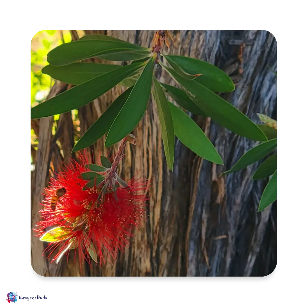 Wasp on Bottle Brush Square Magnet - white