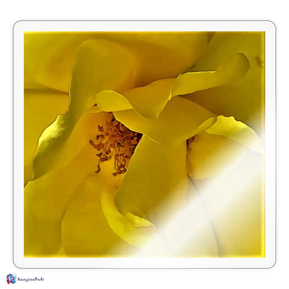 Yellow Rose Sticker - transparent glossy