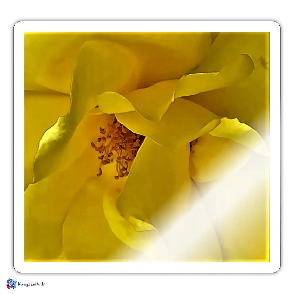 Yellow Rose Sticker - white glossy